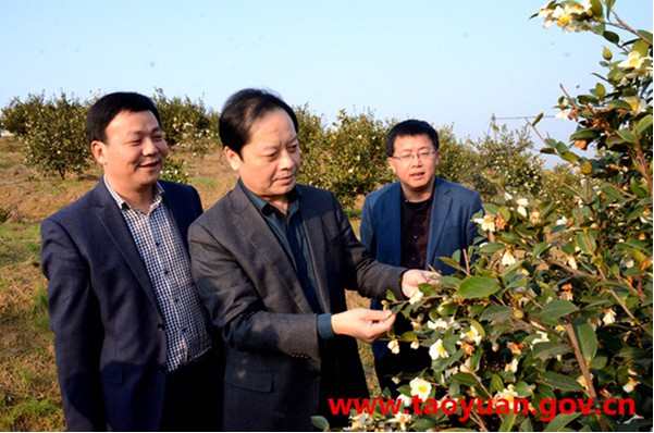 桃源县富硒产品研究所,农产品富硒技术,富硒农业 桃源县富硒产品研究所,农产品富硒技术,富硒农业