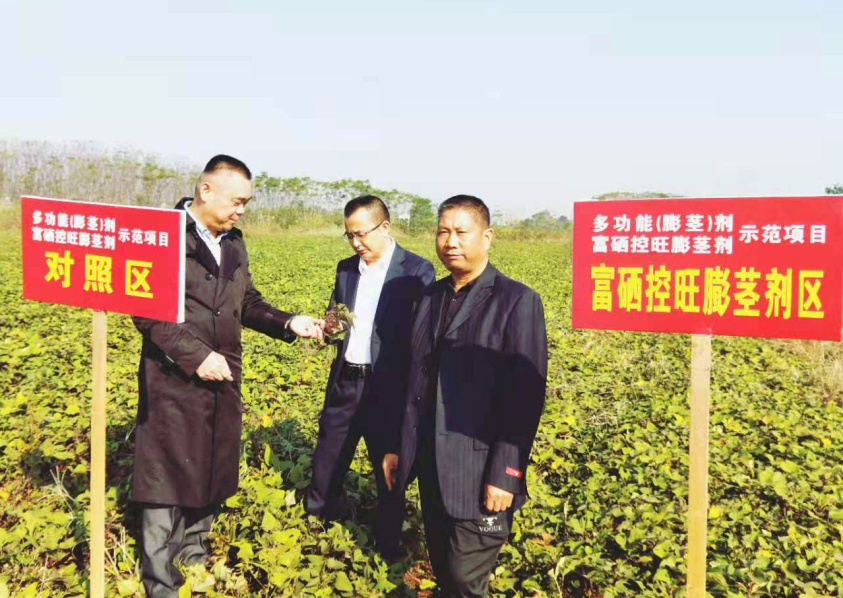富硒产品研究所,农产品富硒技术,富硒农业,富硒农业肥料 富硒产品研究所,农产品富硒技术,富硒农业,富硒农业肥料