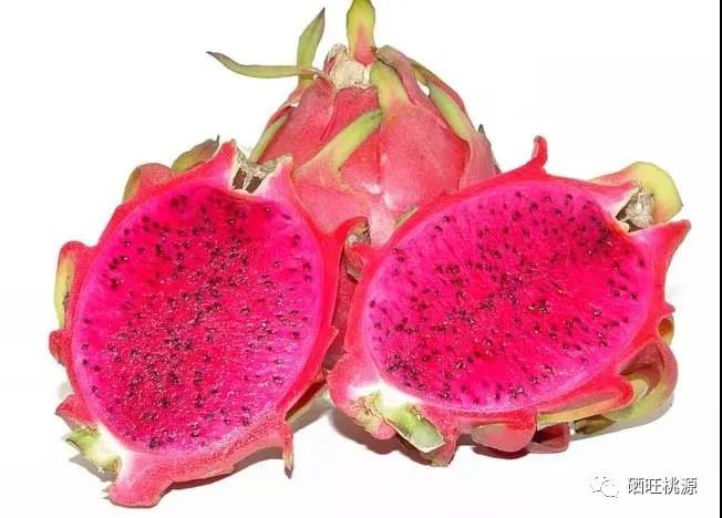 富硒产品研究所,农产品富硒技术,富硒农业,富硒农业肥料