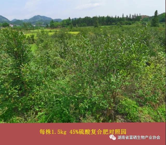 富硒产品研究所,农产品富硒技术,富硒农业,富硒农业肥料