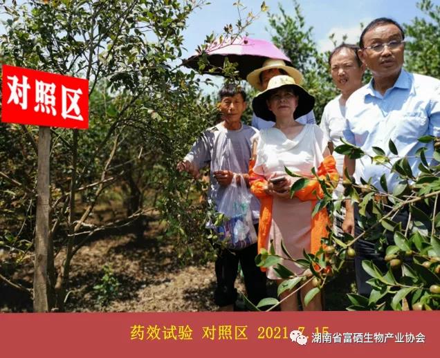 富硒产品研究所,农产品富硒技术,富硒农业,富硒农业肥料