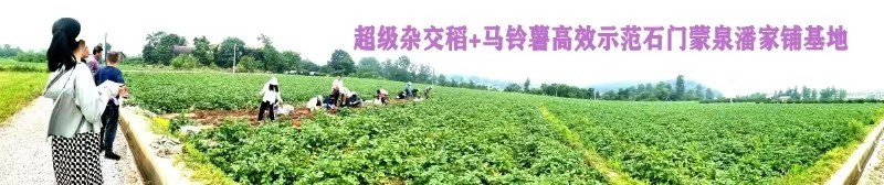 富硒产品研究所,农产品富硒技术,富硒农业,富硒农业肥料