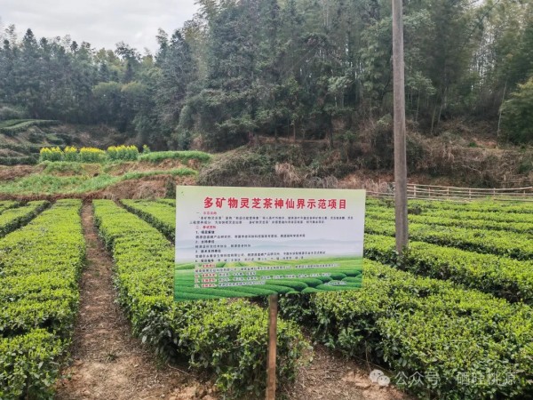 富硒产品研究所,农产品富硒技术,富硒农业,富硒农业肥料